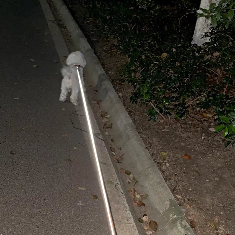 3-in-1 Dual Retractable Dog Leash with LED Flashlight & Poop Bag Holder – Tangle-Free, Reflective, and Extendable for Two Dogs