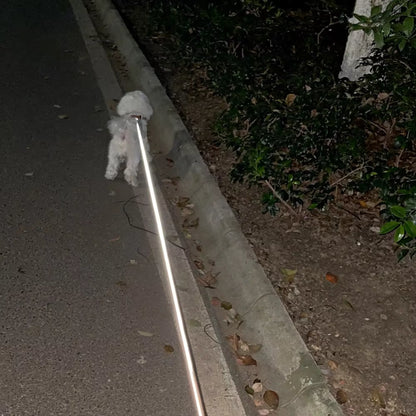 3-in-1 Dual Retractable Dog Leash with LED Flashlight & Poop Bag Holder – Tangle-Free, Reflective, and Extendable for Two Dogs