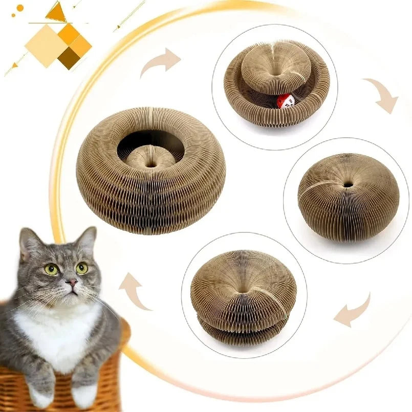 Foldable Magic Cat Scratching Board - Durable, Recyclable, Interactive Kitten Curl Toy & Cat Bed