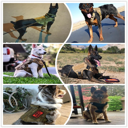 Metal Buckle Tactical Dog Harness MOLLE Pet Train Vest German Shepherd Leash Hound Golden Retriever Labrador Saint Bernard Husky